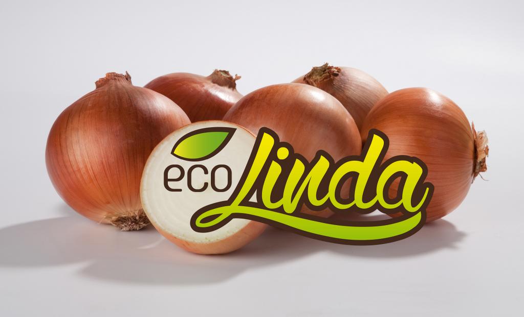 cebolla_ecologica_españa_ecolinda_enrique_romay_