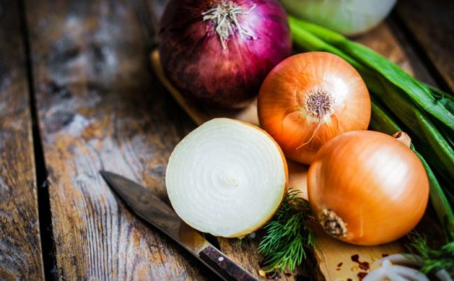 cebollas gastronomia española