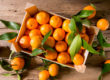 mandarinas