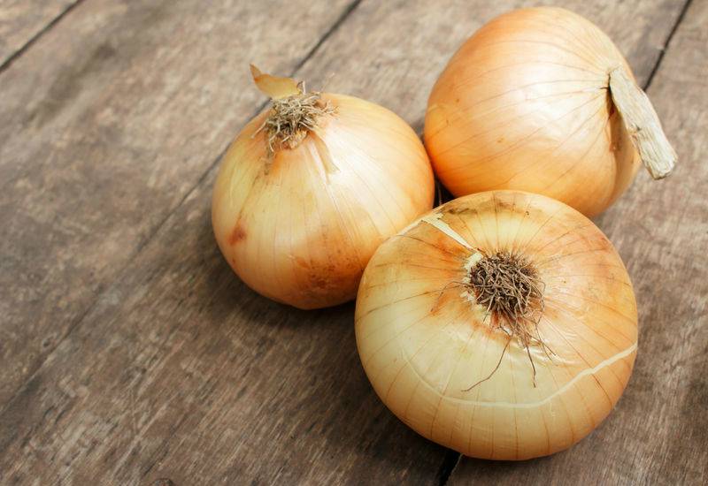 exportación de cebolla exportación de cebolla